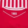 Aalborg BK 2025/26 Thuissportshirt voor volwassenen