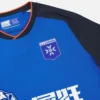 Auxerre 2025/26 Derde sportshirt voor volwassenen Auxerre 2025/26 Derde sportshirt voor volwassenen