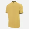 Crystal Palace FC 2025/26 derde sportshirt voor volwassenen Crystal Palace FC 2025/26 derde sportshirt voor volwassenen