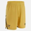 Crystal Palace FC 2025/26 Eagle Gold-Shorts voor volwassenen Crystal Palace FC 2025/26 Eagle Gold-Shorts voor volwassenen