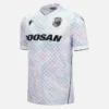 FC Viktoria Plze? 2025/26 Uitwedstrijdsportshirt voor volwassenen FC Viktoria Plze? 2025/26 Uitwedstrijdsportshirt voor volwassenen
