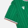 Federazione Calcistica Isole Comore 2025/26 Thuissportshirt voor volwassenen Federazione Calcistica Isole Comore 2025/26 Thuissportshirt voor volwassenen