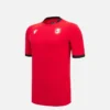 Georgische voetbalbond 2025/26 Junior derde sportshirt