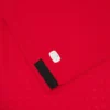 Georgische voetbalbond 2025/26 Junior derde sportshirt