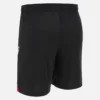Georgische voetbalbond 2025/26 Shorts voor volwassenen Georgische voetbalbond 2025/26 Shorts voor volwassenen