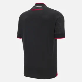 Georgische voetbalbond 2025/26 uitwedstrijdsportshirt voor volwassenen Georgische voetbalbond 2025/26 uitwedstrijdsportshirt voor volwassenen