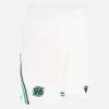 Hannover 96 2025/26 Derde wedstrijdshort voor volwassenen Hannover 96 2025/26 Derde wedstrijdshort voor volwassenen