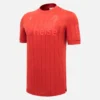 Hannover 96 2025/26 Sportshirt Special Edition Hannover 96 2025/26 Sportshirt Special Edition