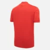 Hannover 96 2025/26 Sportshirt Special Edition Hannover 96 2025/26 Sportshirt Special Edition