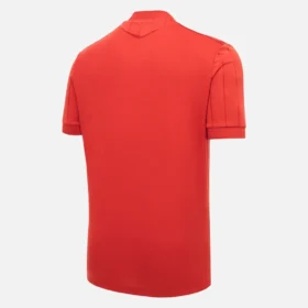 Hannover 96 2025/26 Sportshirt Special Edition