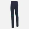 Ierland Cricket Team 2026/28 ODI wedstrijdbroek voor volwassenen