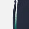 Ierland Cricket Team 2026/28 ODI wedstrijdbroek voor volwassenen