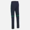Ierland Cricket Team 2026/28 T-20 wedstrijdbroek voor volwassenen Ierland Cricket Team 2026/28 T-20 wedstrijdbroek voor volwassenen