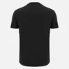 Italia Rugby 2025/26 Katoenen T-shirt voor volwassenen uit de fanlijn Italia Rugby 2025/26 Katoenen T-shirt voor volwassenen uit de fanlijn