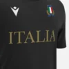 Italia Rugby 2025/26 Katoenen T-shirt voor volwassenen uit de fanlijn Italia Rugby 2025/26 Katoenen T-shirt voor volwassenen uit de fanlijn