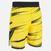 Ludwisburg 2025/26 Home-Shorts voor volwassenen Ludwisburg 2025/26 Home-Shorts voor volwassenen
