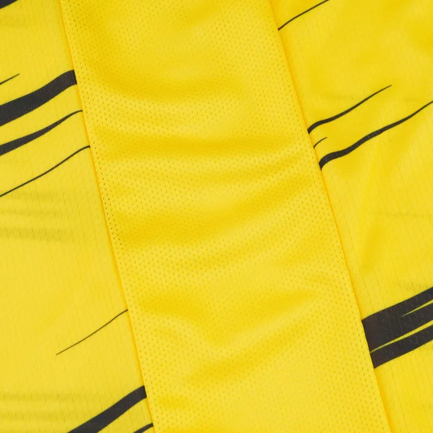 Ludwisburg 2025/26 Thuissportshirt voor volwassenen Ludwisburg 2025/26 Thuissportshirt voor volwassenen