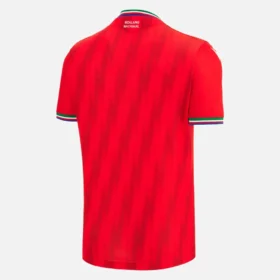Nazionale Guinea Equatoriale 2025/26 Thuissportshirt voor volwassenen Nazionale Guinea Equatoriale 2025/26 Thuissportshirt voor volwassenen