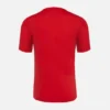 Pallacanestro Reggiana 2025/26 Trainingsshirt voor volwassenen Pallacanestro Reggiana 2025/26 Trainingsshirt voor volwassenen