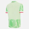 Reading FC 2025/26 derde sportshirt voor volwassenen