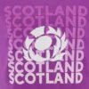 Scottish Rugby 2025/26 Paars T-shirt voor vrijetijdsgebruik Scottish Rugby 2025/26 Paars T-shirt voor vrijetijdsgebruik