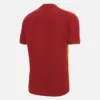 T-20 West Indies Cricket 2025/26 Wedstrijdshirt