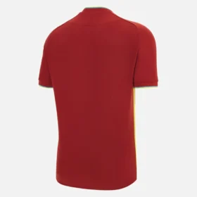 T-20 West Indies Cricket 2025/26 Wedstrijdshirt