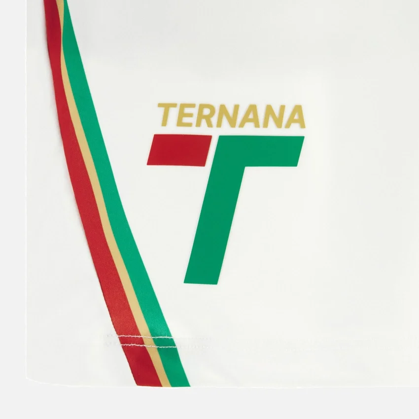Ternana Calcio 2025/26 derde wedstrijdshort voor volwassenen Ternana Calcio 2025/26 derde wedstrijdshort voor volwassenen