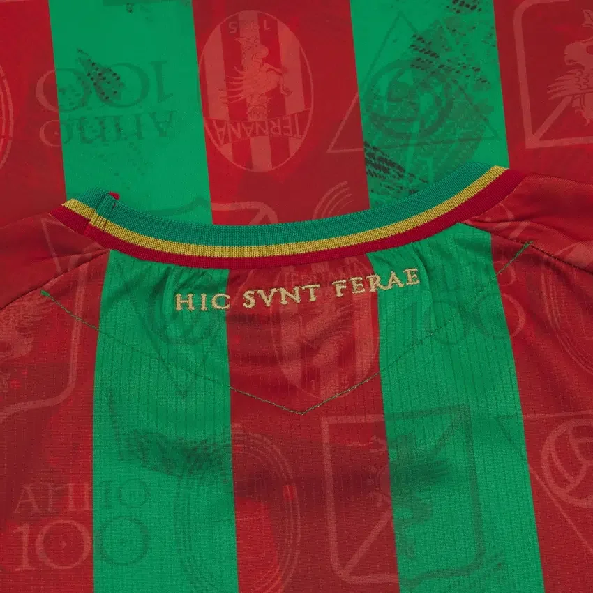 Ternana Calcio 2025/26 Thuissportshirt voor volwassenen Ternana Calcio 2025/26 Thuissportshirt voor volwassenen