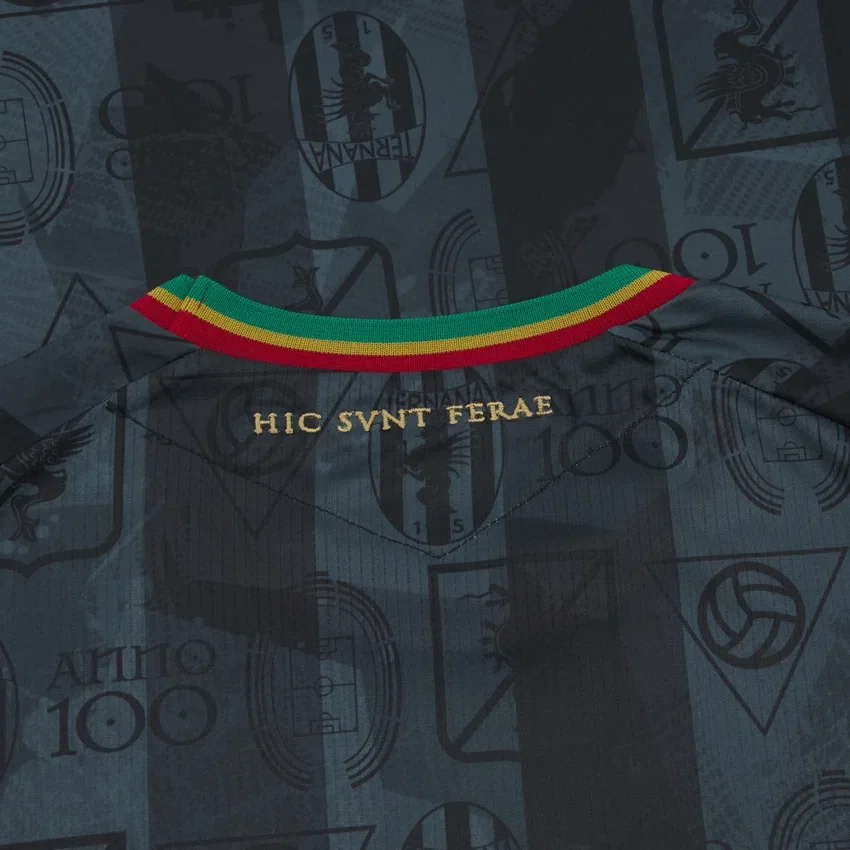 Ternana Calcio 2025/26 Uitwedstrijdsportshirt voor volwassenen Ternana Calcio 2025/26 Uitwedstrijdsportshirt voor volwassenen