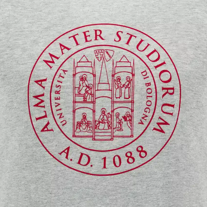 Unibo-collectie Grijs gemêleerd katoen T-shirt voor volwassenen Unibo-collectie Grijs gemêleerd katoen T-shirt voor volwassenen