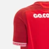 Welsh Rugby 2025/26 thuisreplica-overhemd