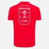 Welsh Rugby 2025/26 Rood Fan-T-shirt Welsh Rugby 2025/26 Rood Fan-T-shirt