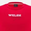 Welsh Rugby 2025/26 Rood Fan-T-shirt Welsh Rugby 2025/26 Rood Fan-T-shirt