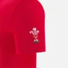 Welsh Rugby 2025/26 Rood Fan-T-shirt Welsh Rugby 2025/26 Rood Fan-T-shirt