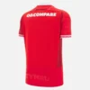 Welsh Rugby 2025/26 thuisshirt Welsh Rugby 2025/26 thuisshirt