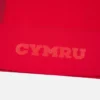 Welsh Rugby 2025/26 thuisshirt Welsh Rugby 2025/26 thuisshirt