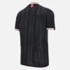 West Bromwich Albion F.C. 2025/26 derde sportshirt voor volwassenen West Bromwich Albion F.C. 2025/26 derde sportshirt voor volwassenen